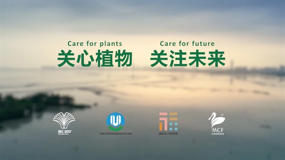 深圳红树林基金会「IBC纪念园」宣传短片